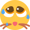 discowd_kitten emote