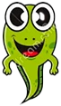 RANACUAJO emote