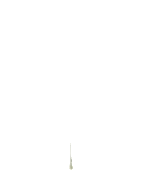 thonk_tree emoji