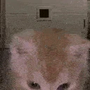 AURA emote