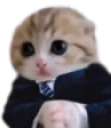 catBusiness emoji