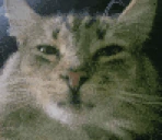 fuh emote