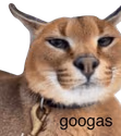 googas emote