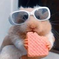 coolhamster2 emote