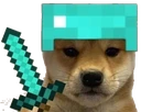 Minecraft_dogo emote