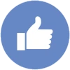 fbLIKE emote