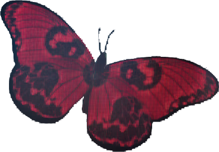 BO7butterfly emoji