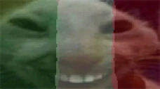 icsdidi emote