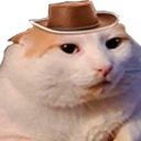 Meowdy emote