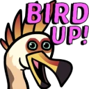 ChinBirdUp emote