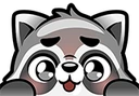 Raccoon_160_16 emoji