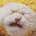 PLSNO emote