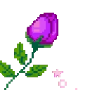 RosePurple emote
