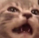 CE_Agony3 emoji