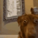 AYOOO emote