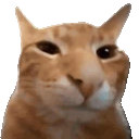 buhtime emote