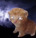 bertYourself animated emote