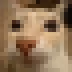 miniOtag emote