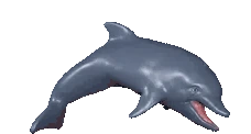 Jordan emote