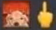 hater emote