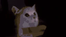 lightMode emote