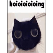 boioioioing