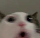oooo emote