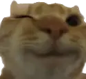 wink emote