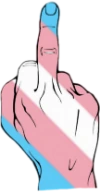 trans_fuck_you emote