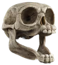 nawwwwwwwww emote