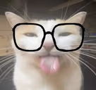 bobaBleh emote