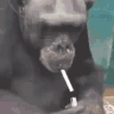 monkeSmoke emote