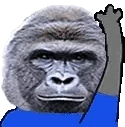 harambeWave emote