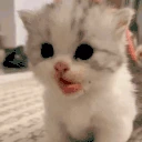 mya emote