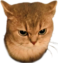 angycat static emote