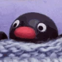 pinguLaugh emote