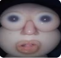 baby emote