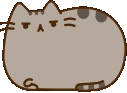 PusheenSalt emoji