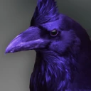 bird emote
