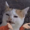 catshrug emote