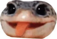 SillyChamp emote