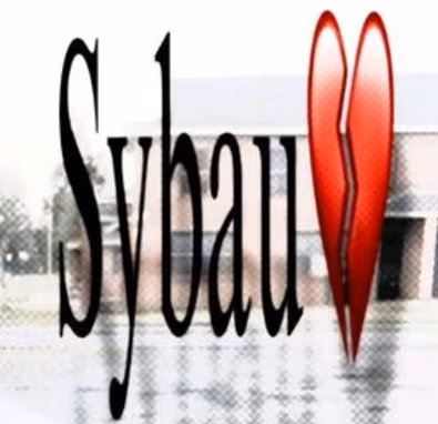 Sybau emote