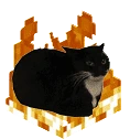 maxwellEvil emote