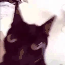 heCrazy emote