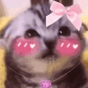 amore emote