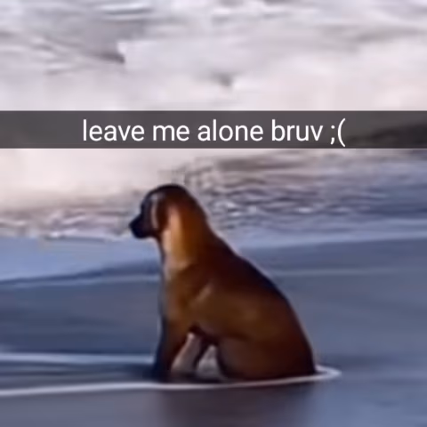 LeaveMeAloneBruv emote