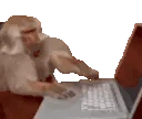 monkeyChat emote