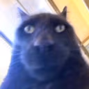 KET emote