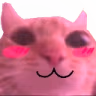 FushedCat emote