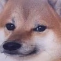 Wholesome_doge emote